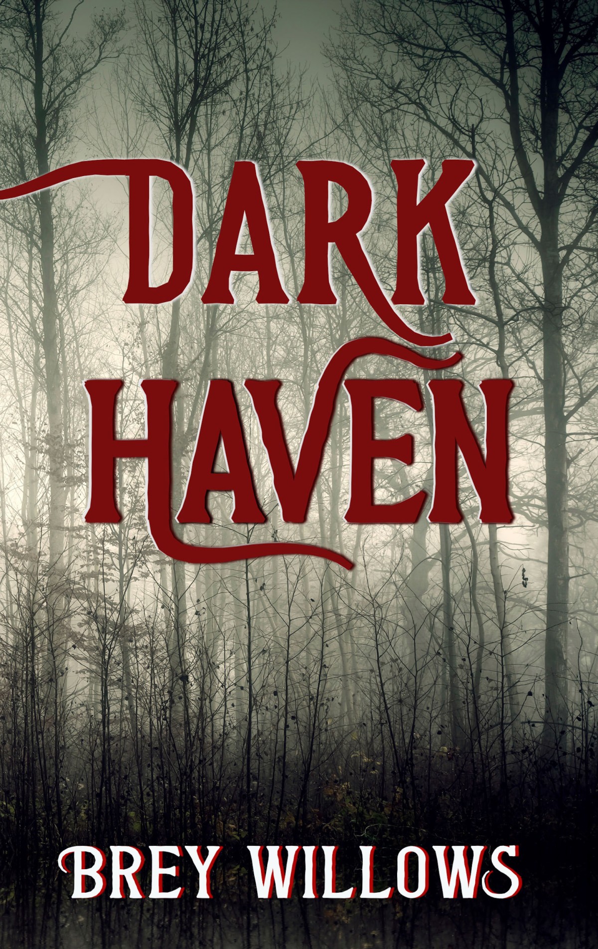 5* Review: Dark Haven – Brey Willows
